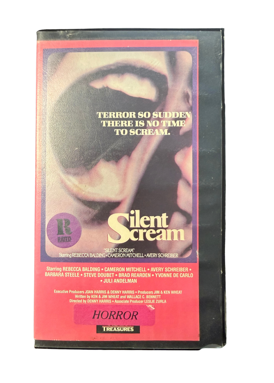 Silent Scream (VHS)