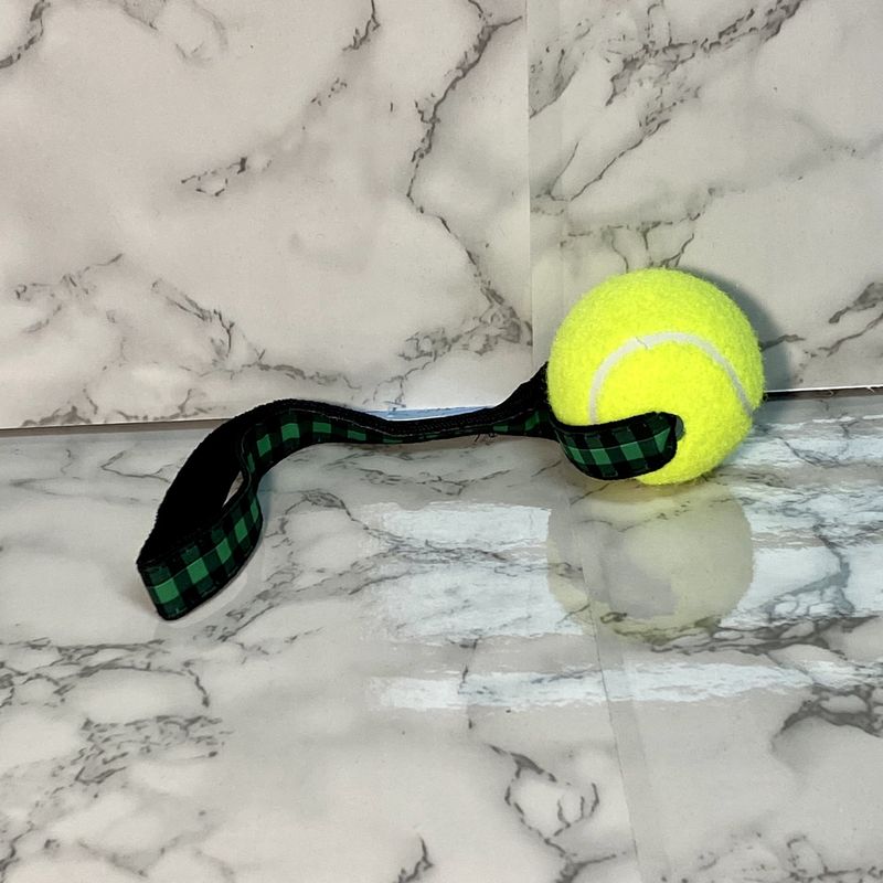 Tennis Ball Toss