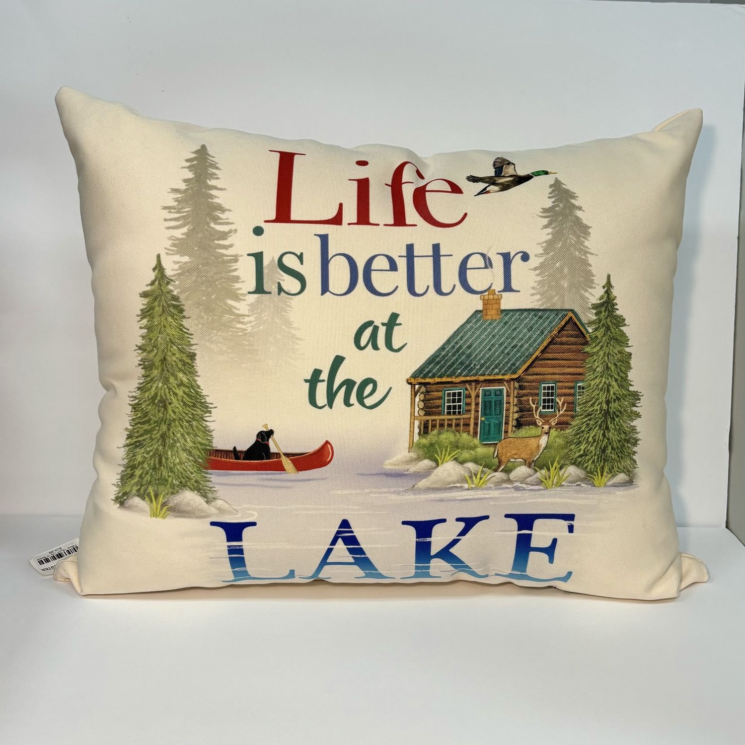 Pillow 19x24