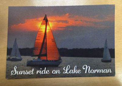 Sunset Sailing Postcard - By Harlan Cato