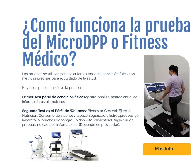 MicroDPP