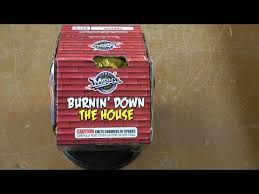Burnin' Down the House
