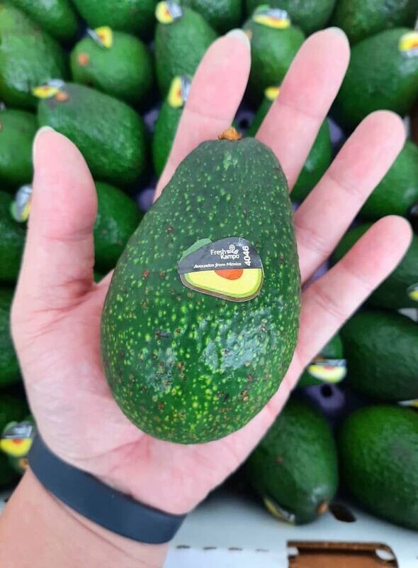 Mexico Avacado  5kg / 30pcs