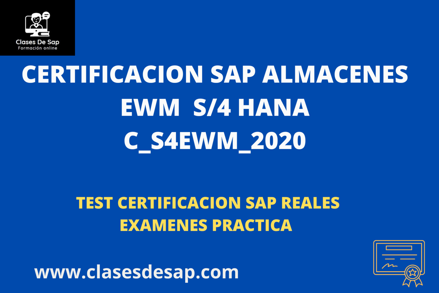 C_S4EWM_2020 Practice Exam Pdf