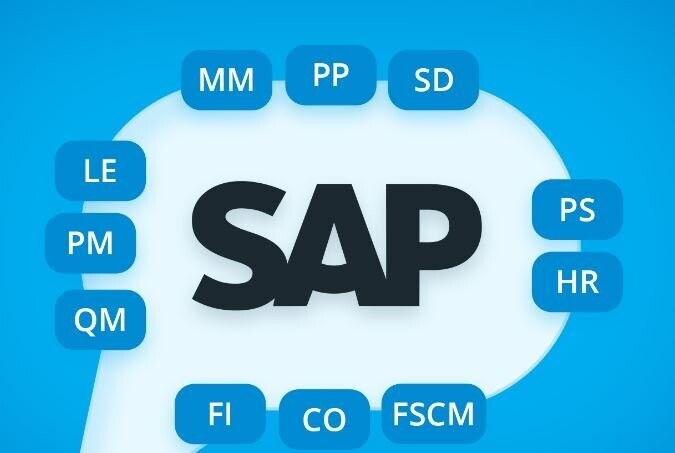 CURSO SAP ONLINE BASICO DESDE CERO+REGALO EXCEL COMPLETO
