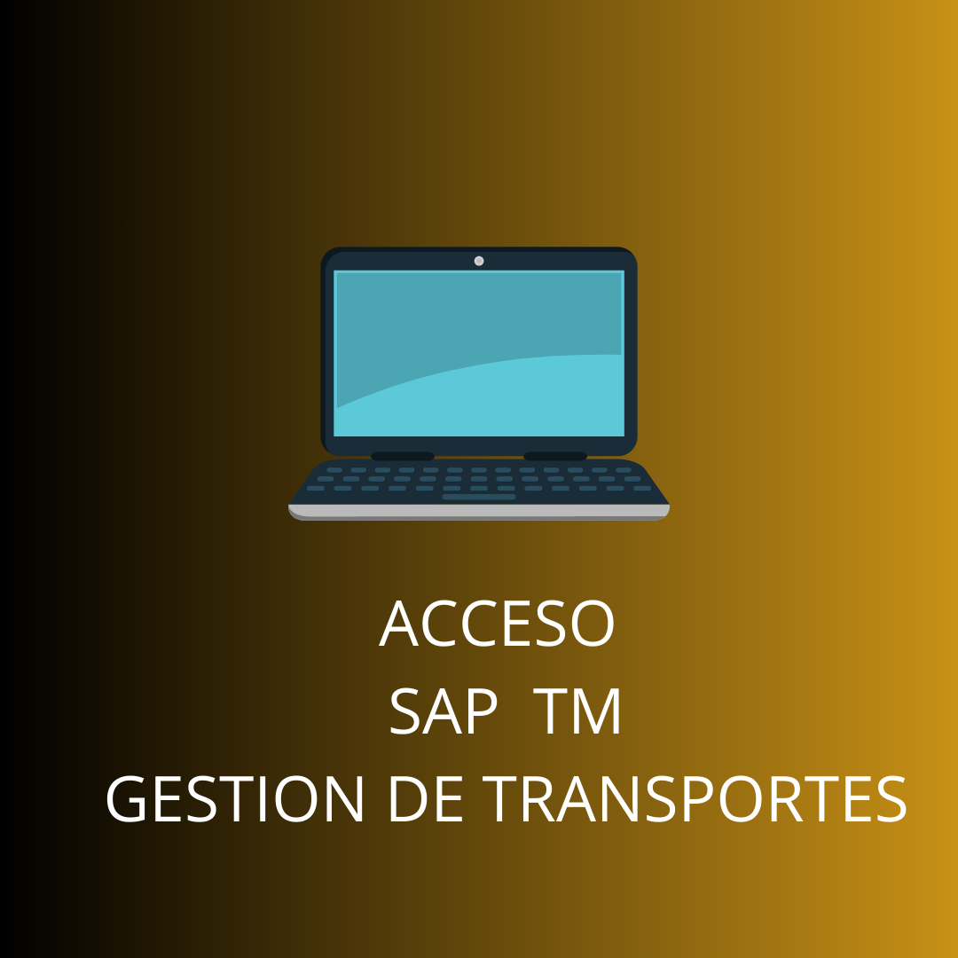 ACCESO SAP TM GESTION DE TRANSPORTES