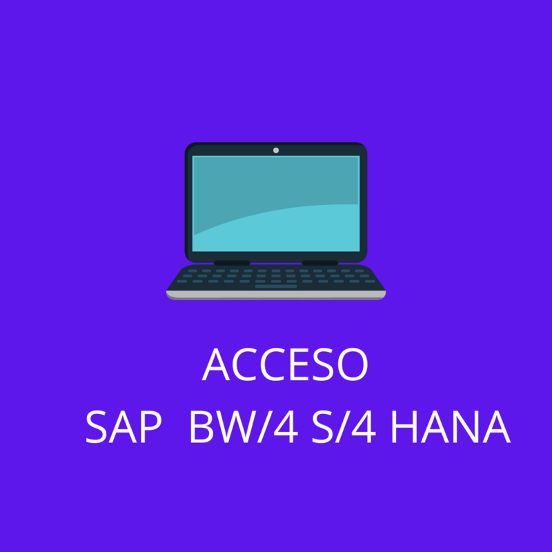ACCESO SAP BW/4 S/4 HANA 1 MES