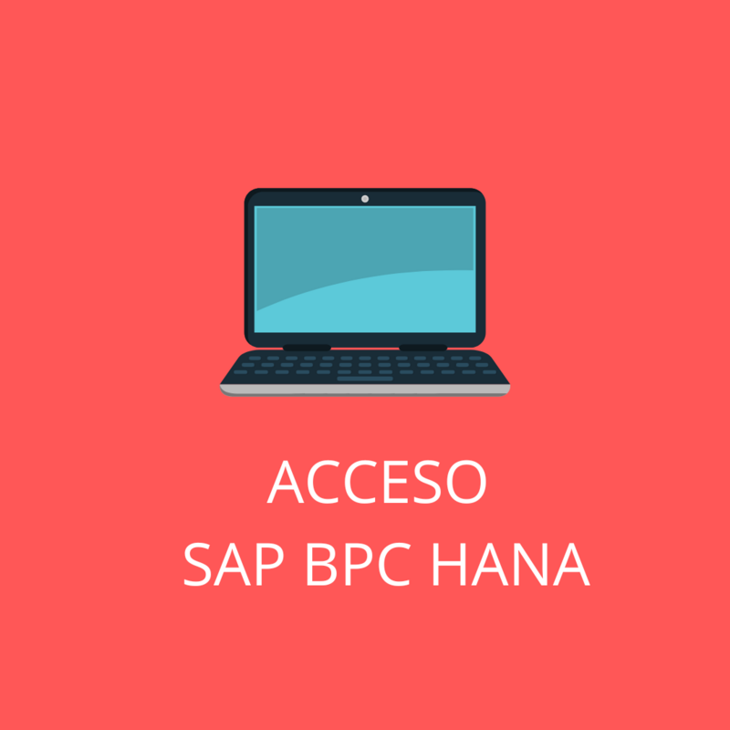 ACCESO SAP BPC CON HANA 1 MES
