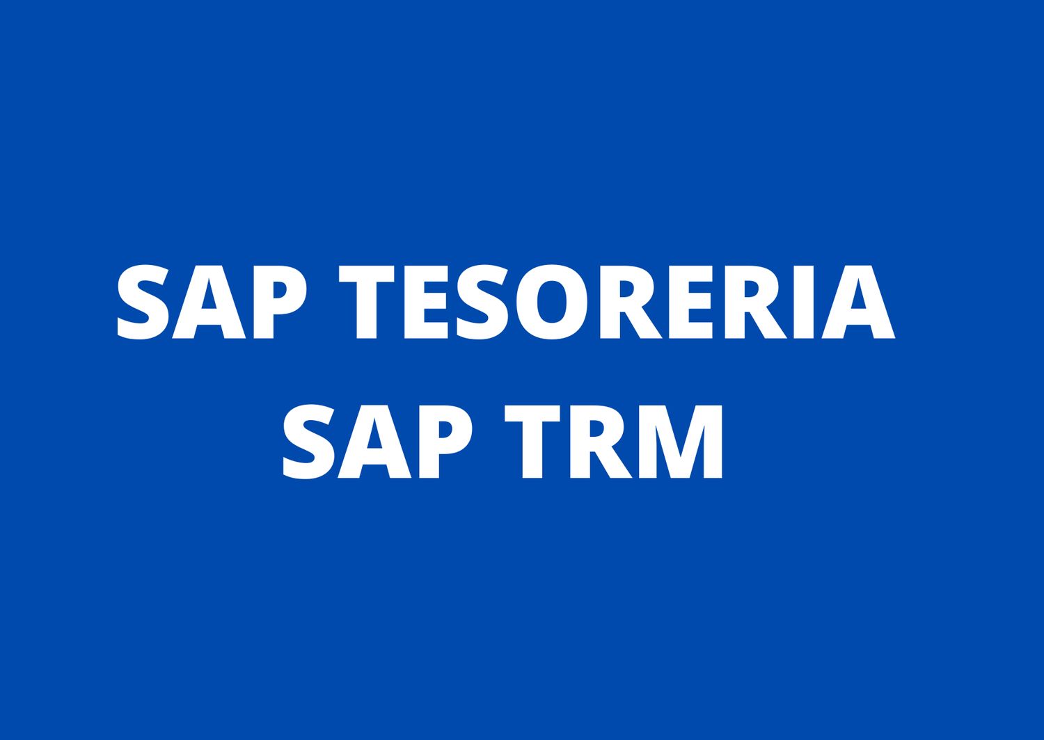 CURSO SAP TESORERIA TRM S/4 HANA USUARIO