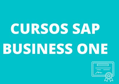 CURSO CONSULTOR SAP BUSINESS ONE