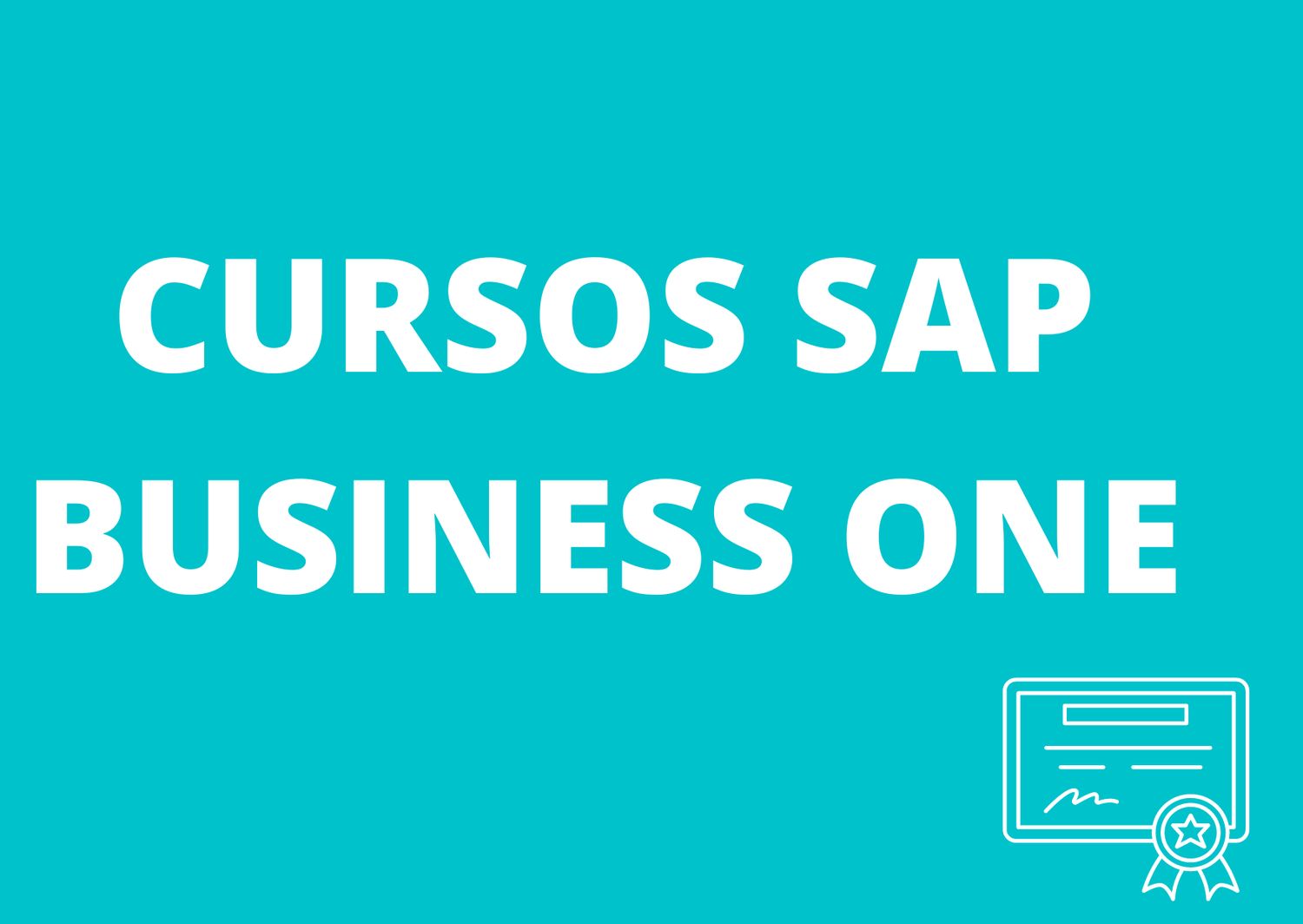 CURSO SAP BUSINESS ONE LOGISTICA