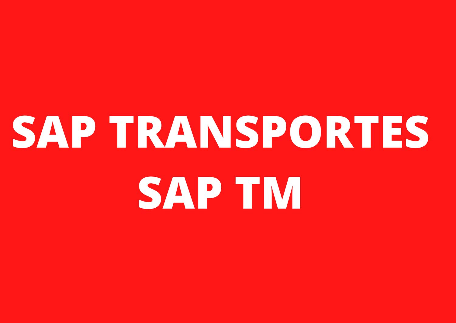 CURSO CONSULTOR SAP TM GESTION TRANSPORTES