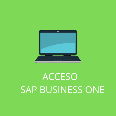 ACCESO SAP BUSINESS ONE  VS 10