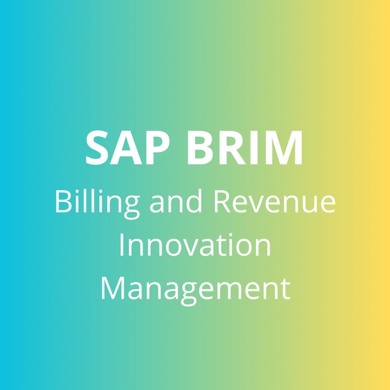 CURSO CONSULTOR SAP BRIM