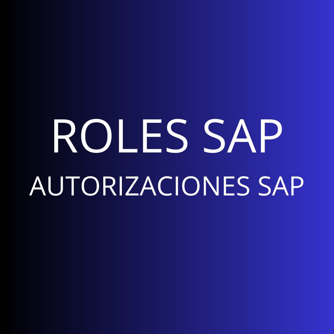 CURSO ROLES Y AUTORIZACIONES SAP