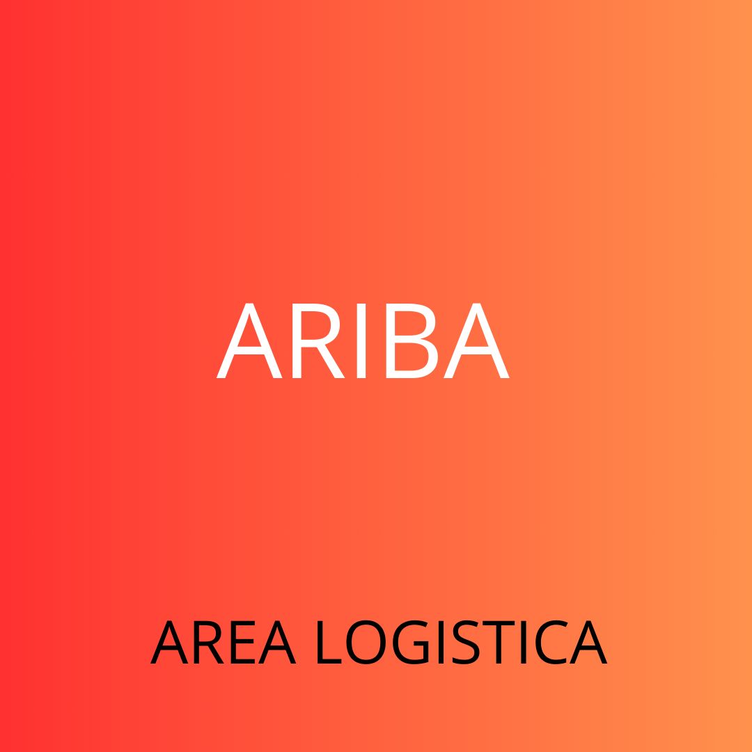 CURSO SAP ARIBA