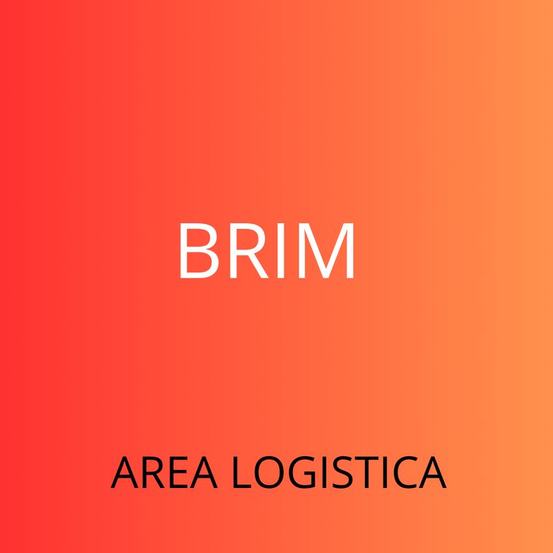 CURSOS SAP BRIM