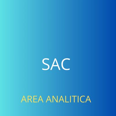 CURSOS SAP SAC