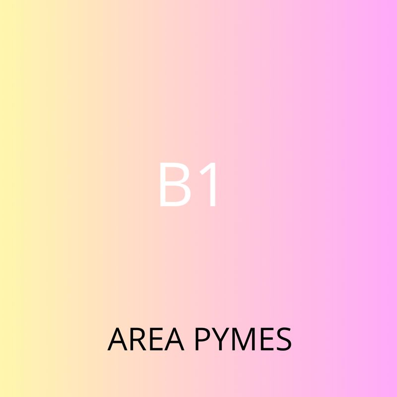 CURSOS SAP BUSINESS ONE