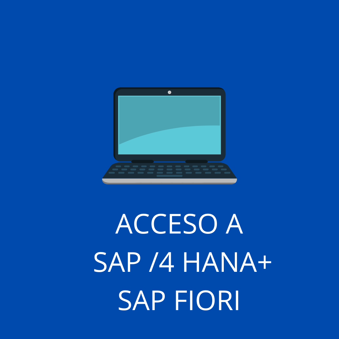 ACCESO SAP EWM SAP FIORI