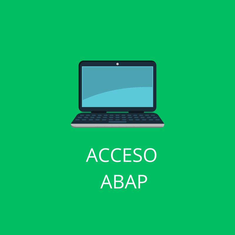 ACCESO SAP ABAP 1 MES