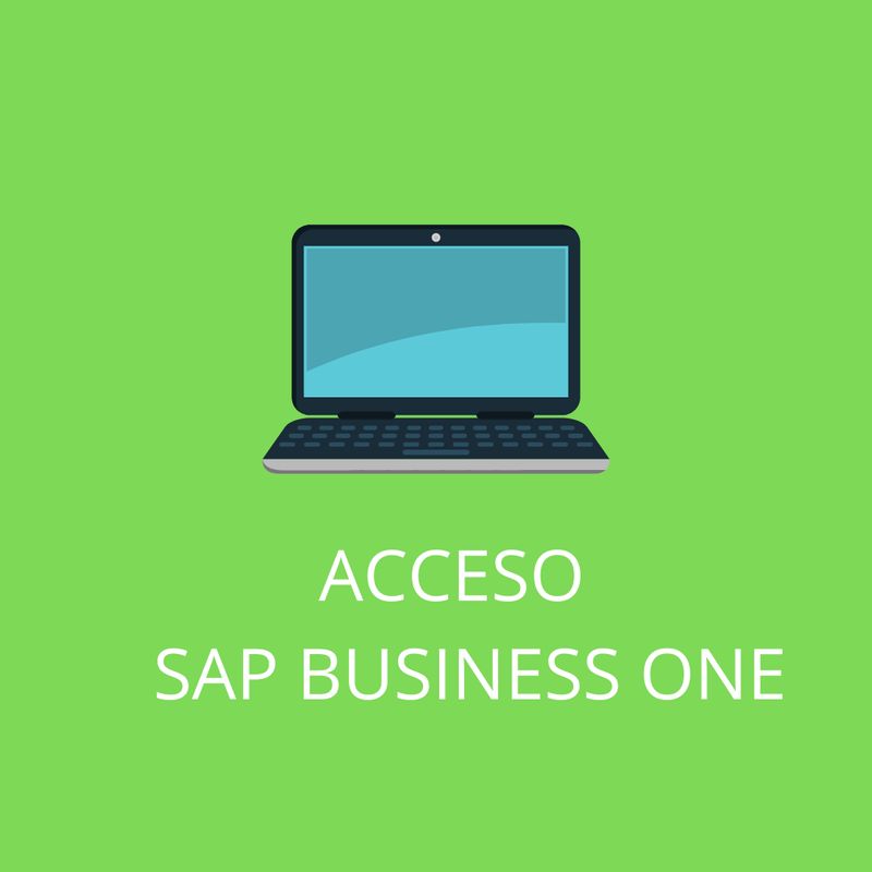 ACCESO SAP BUSINESS ONE  VS 10