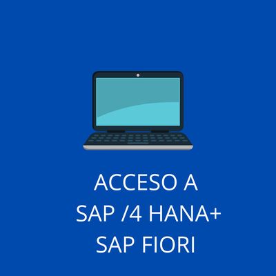 ACCESO SAP S/4 HANA 2022 + SAP FIORI 3 MESES