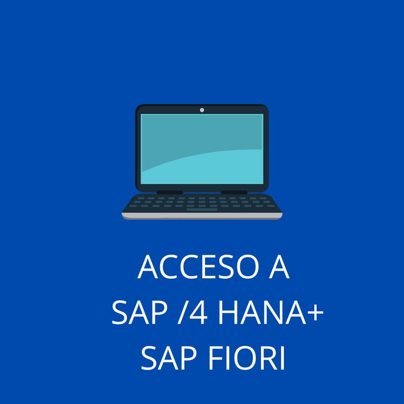 ACCESO SAP S/4 HANA 2022 + SAP FIORI 3 MESES