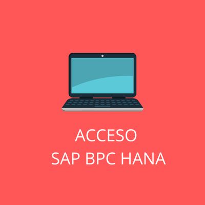 ACCESO SAP BPC CON HANA 1 MES ACCESO SAP BPC CON HANA 1 MES