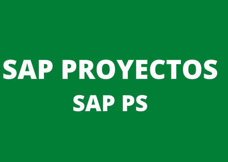 CURSO SAP PROYECTOS PS USUARIO