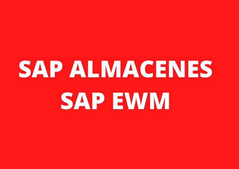 MASTER SAP EWM S/4 HANA ALMACENES