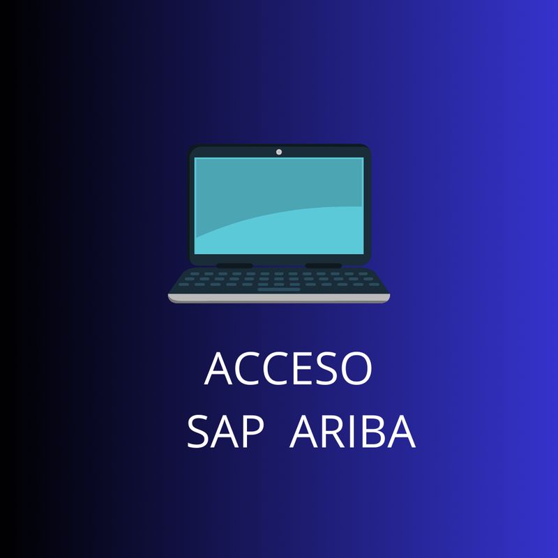 ACCESO SAP ARIBA 1MES