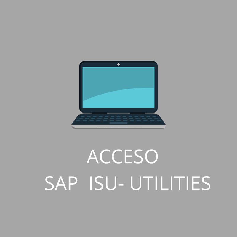 ACCESO SAP ISU UTILITIES 1 MES