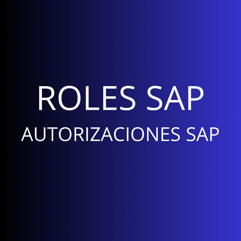 CURSO ROLES Y AUTORIZACIONES SAP
