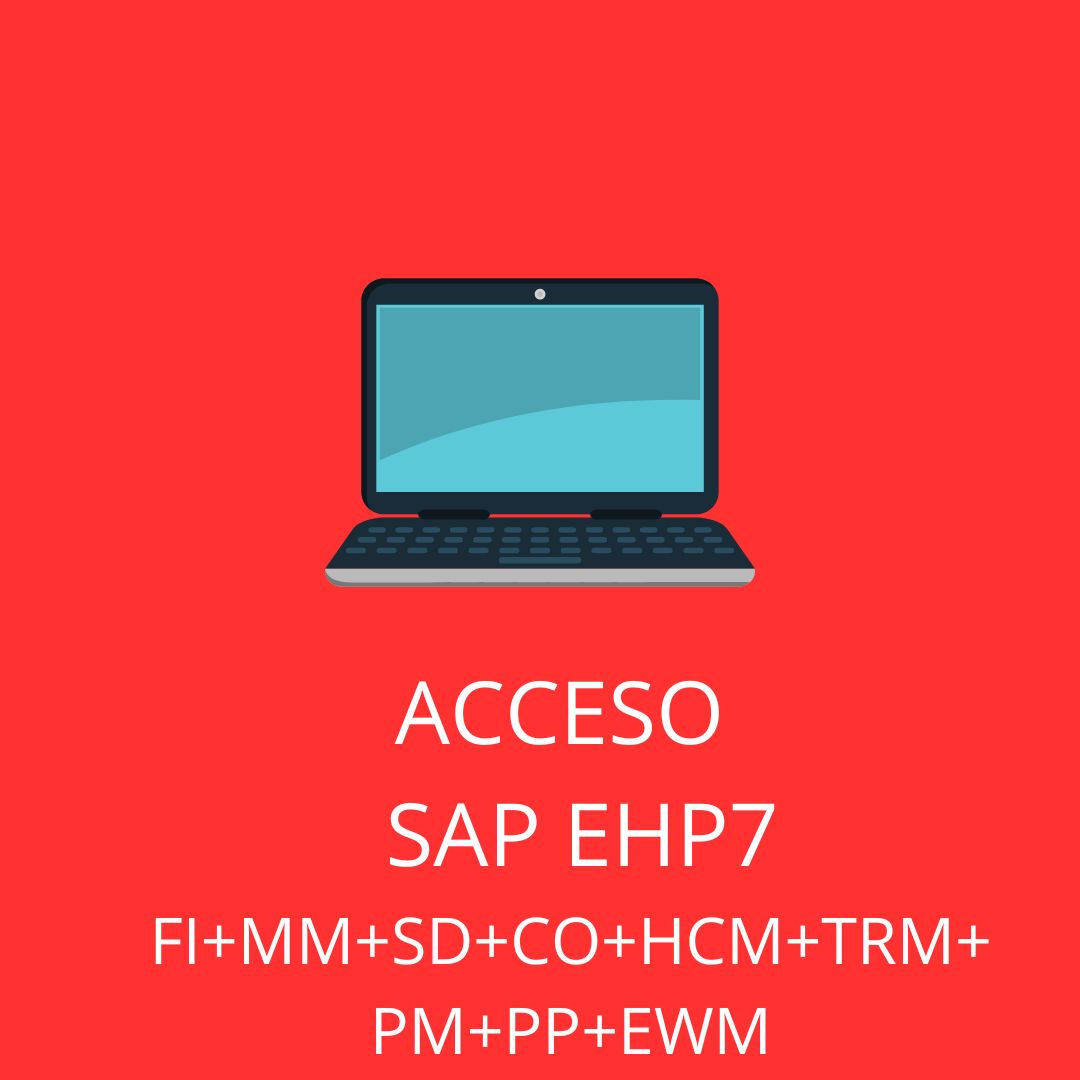 ACCESO SAP EHP HCM 1 MES