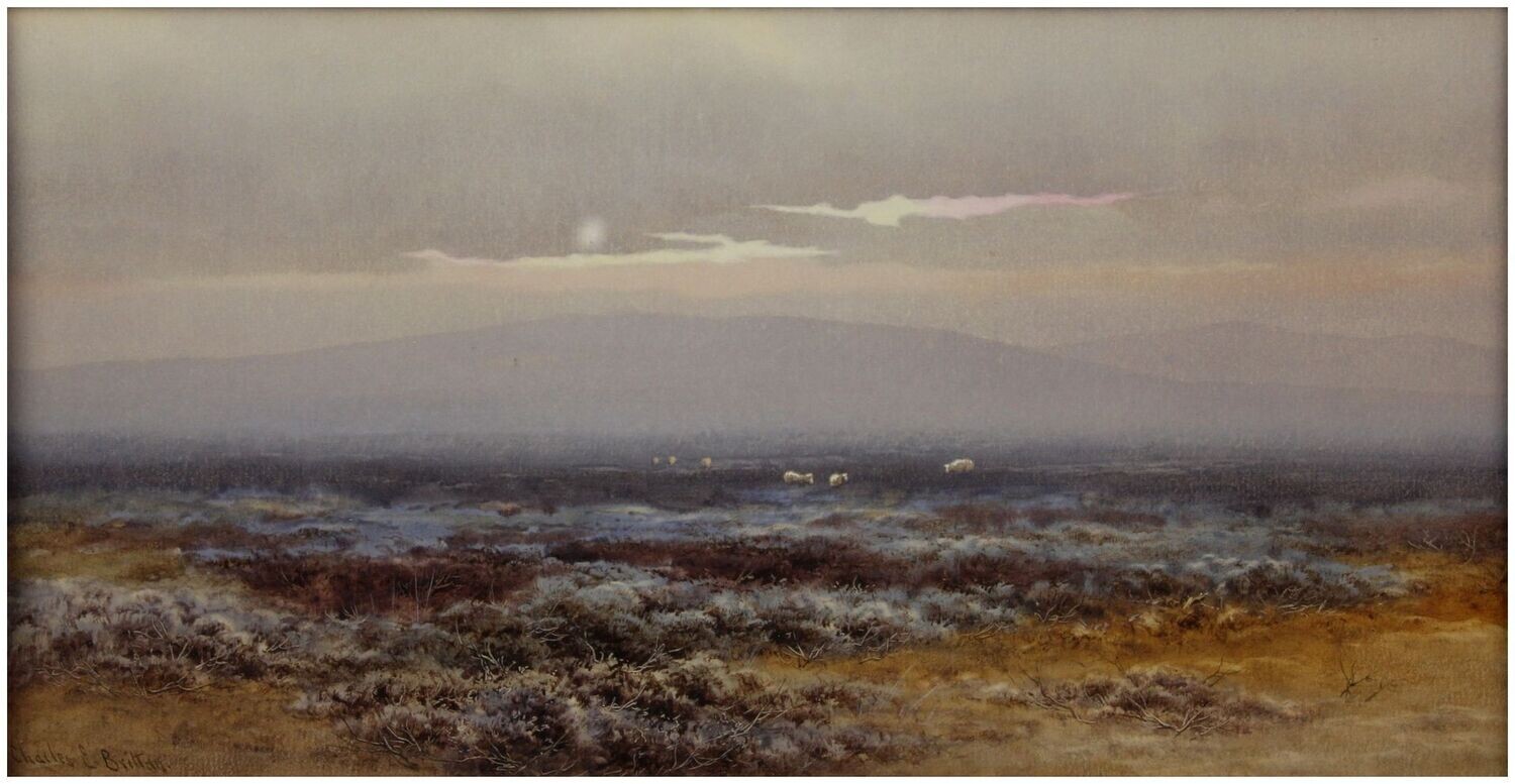Brittan, Charles Edward Jun. (1870-1949), Hochmoorlandschaft im Nebel