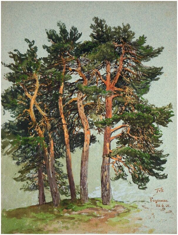 Eckenbrecher, Themistokles von (1842-1921), Norwegischer Kiefernhain, 1901