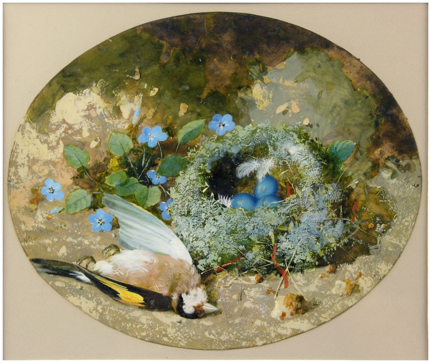Cruickshank, William (19 Jh.), Stilleben mit totem Stieglitz und Nest