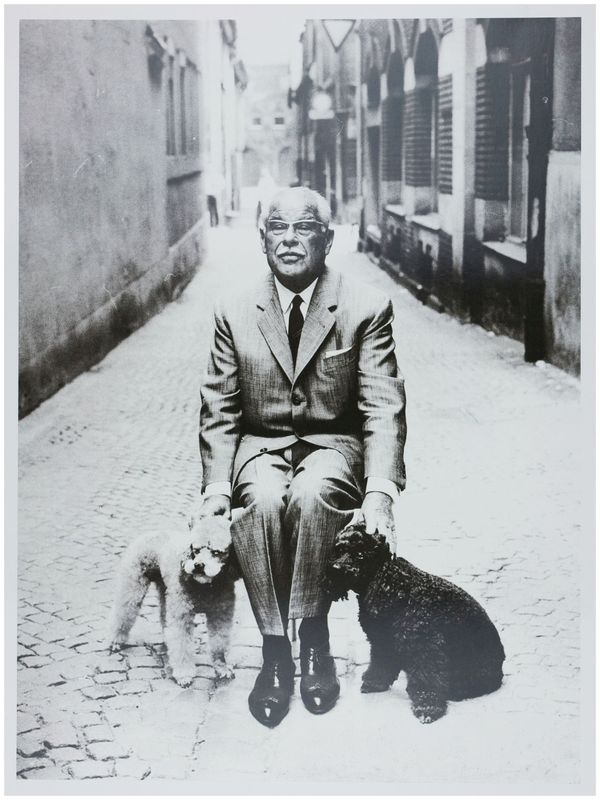 Moses, Stefan (1928 - 2018), Consul Schickedanz with his dwarf poodles, 1965