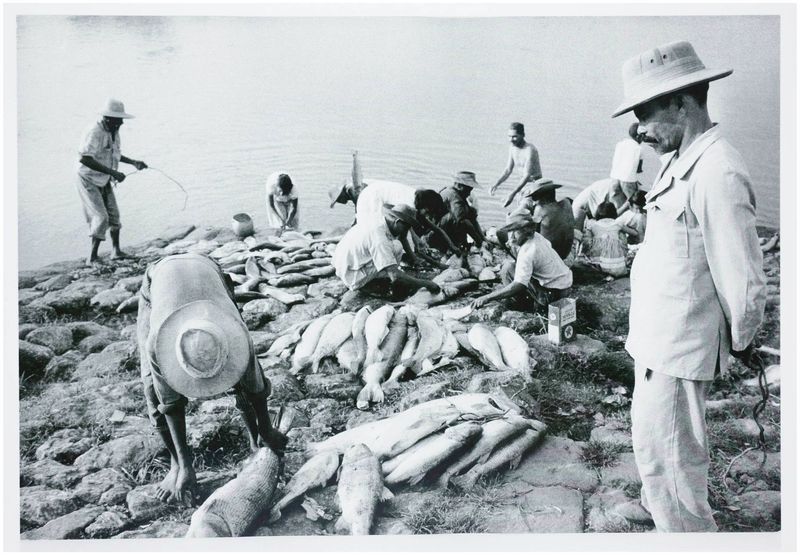 Moses, Stefan (1928 - 2018), Moses, Stefan (1928 - 2018), Fisherman at the lake, c. 1960