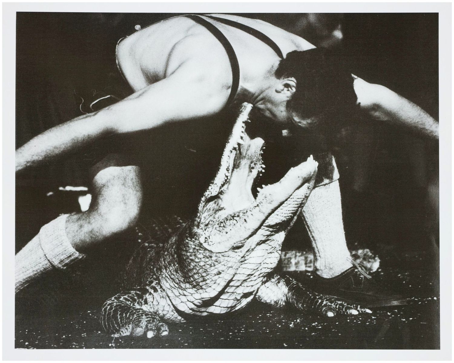Moses, Stefan (1928 - 2018), Dompteur mit Krokodil, um 1975