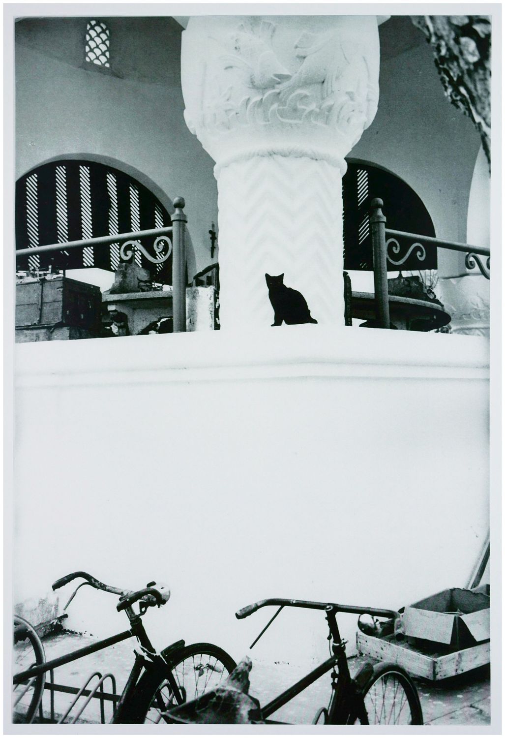 Moses, Stefan (1928 - 2018), Schwarze Katze, um 1965