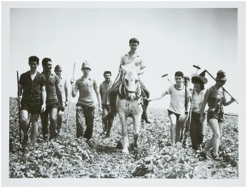 Moses, Stefan (1928 - 2018), In the Kibbutz, c. 1965