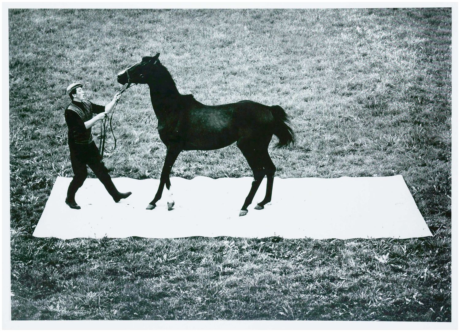 Moses, Stefan (1928 - 2018), Man and Horse, c. 1965