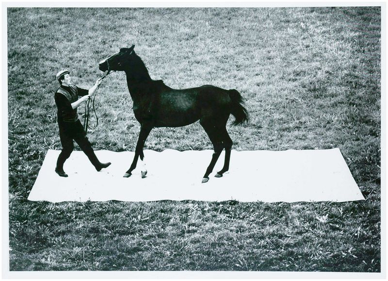 Moses, Stefan (1928 - 2018), Man and Horse, c. 1965