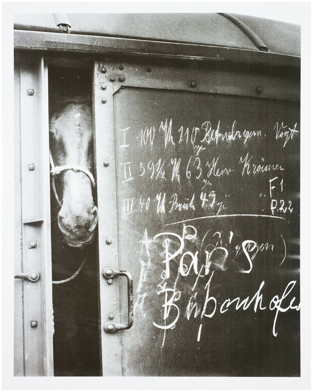 Moses, Stefan (1928 - 2018), Horse in a railroad car, c. 1955