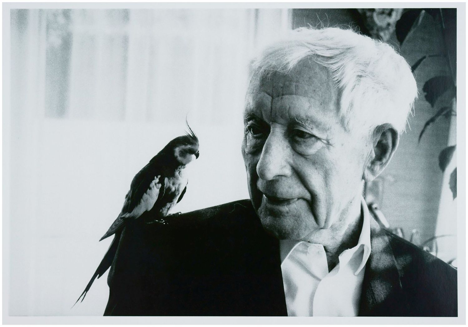Moses, Stefan (1928 - 2018), Ernst Jünger, c. 1980