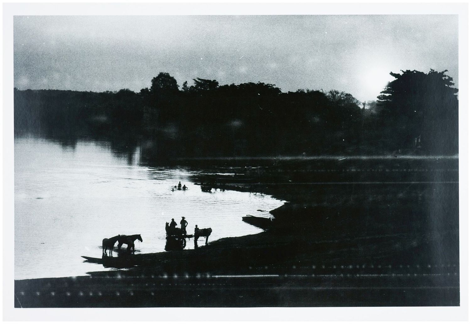 Moses, Stefan (1928 - 2018), Horses by the lake, c. 1950