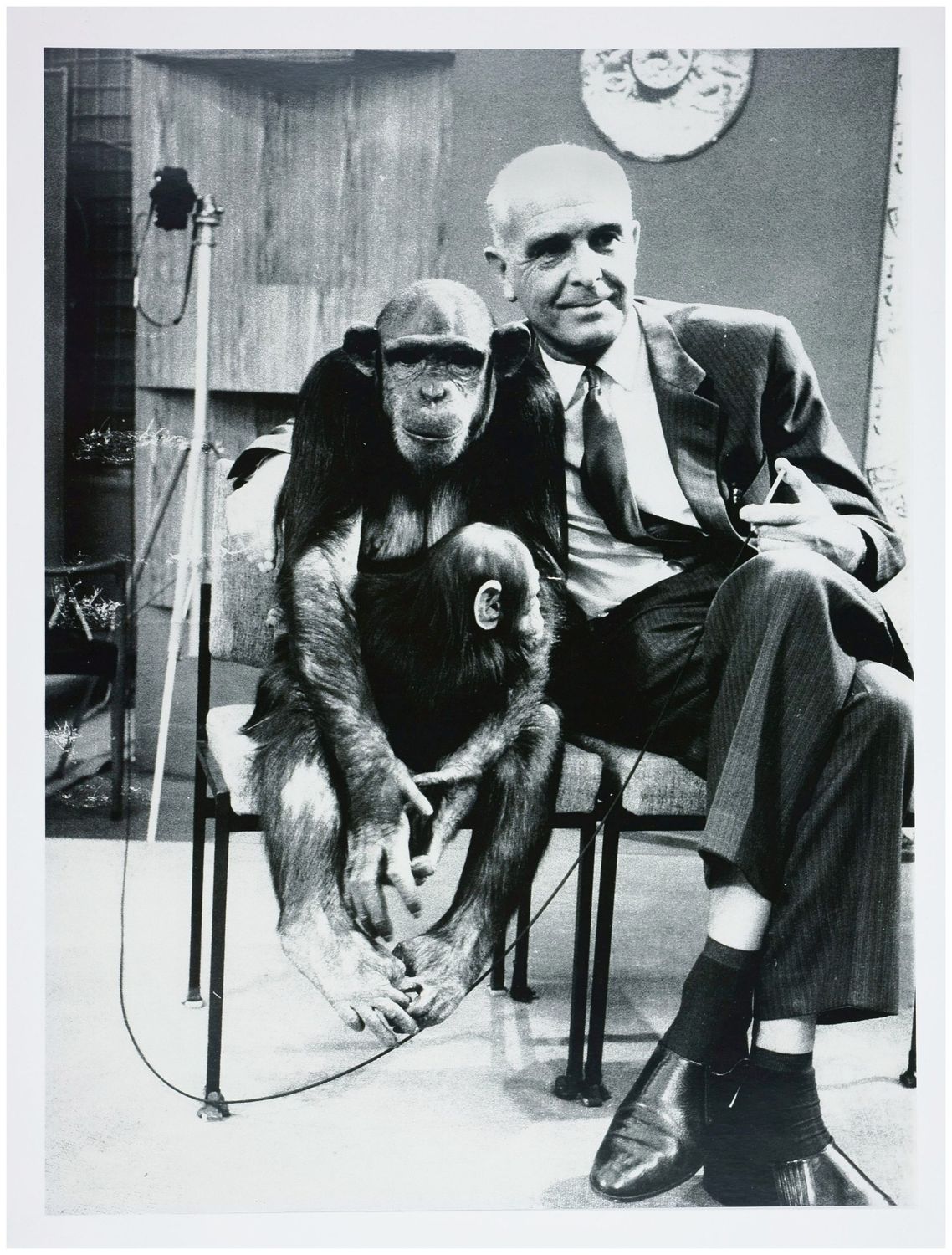 Moses, Stefan (1928 - 2018), Zoo Director Bernhard Grzimek, c. 1970