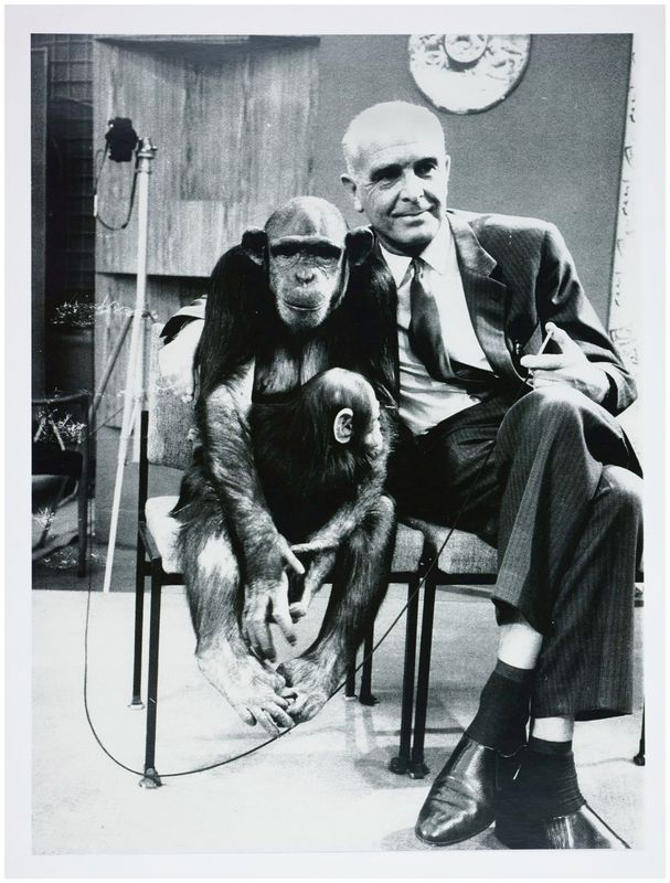 Moses, Stefan (1928 - 2018), Zoo Director Bernhard Grzimek, c. 1970